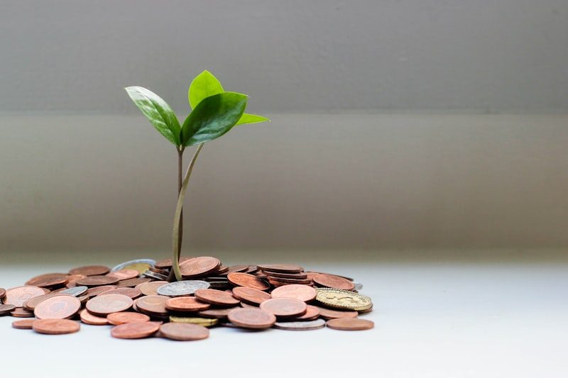 Contribuição financeira